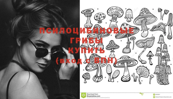 сатива Абдулино