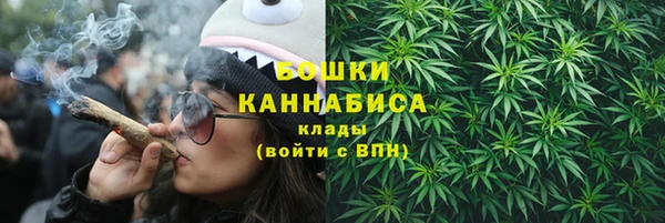 сатива Абдулино