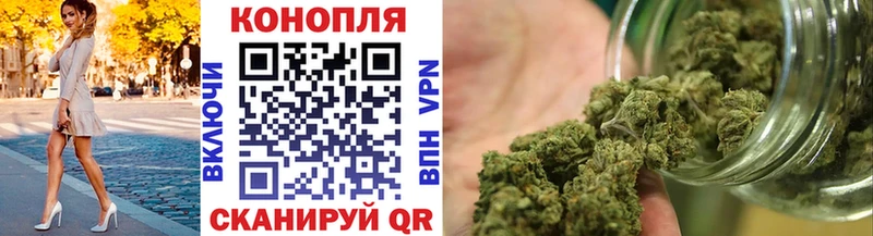 Конопля гибрид  продажа наркотиков  мега зеркало  Ясный 